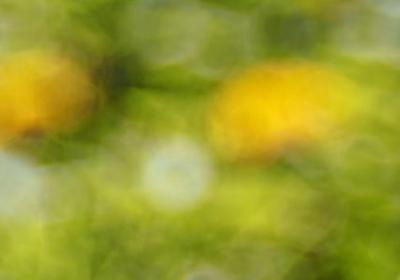 水面平静的词语(汇总40句)