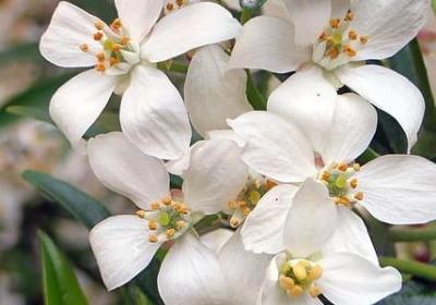 灰色的什么词语填空(汇总38句)