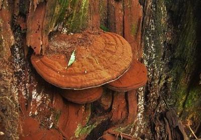 照样子写词语千里迢迢(80句)