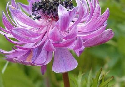 渴组词有哪些词语(优选81句)