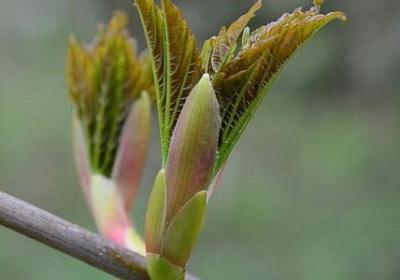 番能组什么词语(推荐10句)