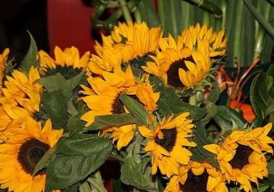 祝福子女成才的词语(通用70句)