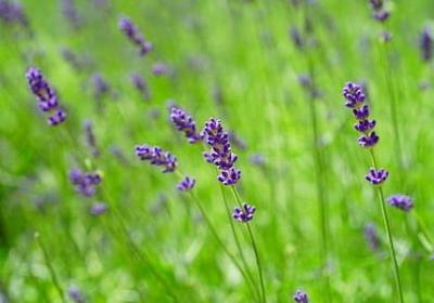 痛苦的说的词语(汇总60句)