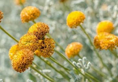 生生不息词语(必备6句)