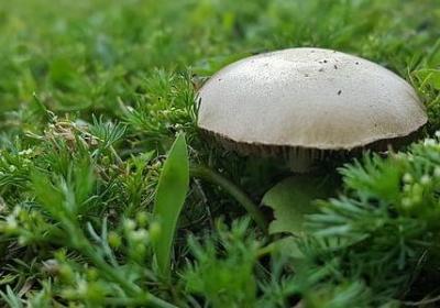 畅可以组什么词语(优选110句)