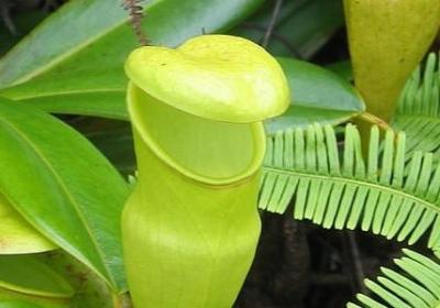 秤多音字组词语(50句)