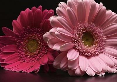 用言辞笑话对方的词语(通用50句)