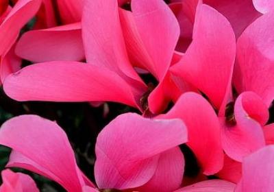 生意词语大全集(实用60句)