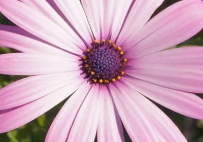 窗能组什么词语(共16句)