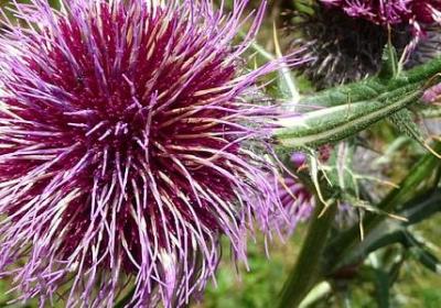 秋天的风词语(精选11句)