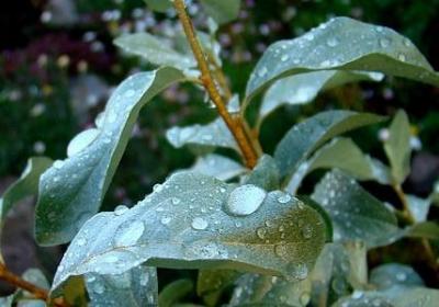 聆听搭配的词语(精选52句) 聆听搭配的词语(精选52句)