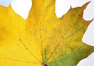 舍怎么组词语(热门20句)