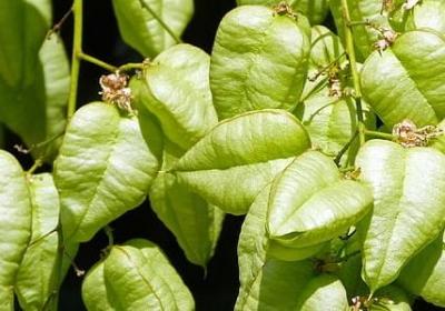 答的四字词语(必备50句) 答的四字词语(必备50句)