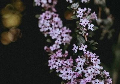 纤的多音字组词语(共39句) 纤的多音字组词语(共39句)