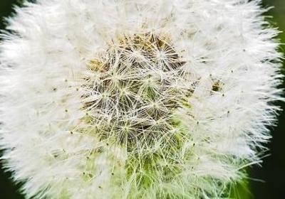 网络词语月半什么意思(7句)