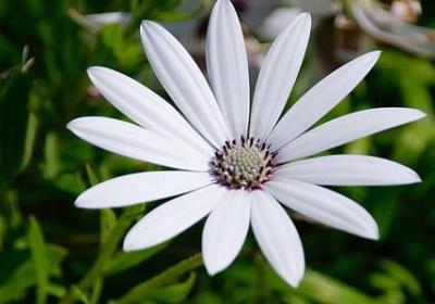 蔽组词语是什么(通用60句)