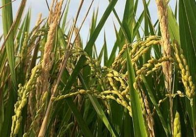 表示说的词语有(通用120句)