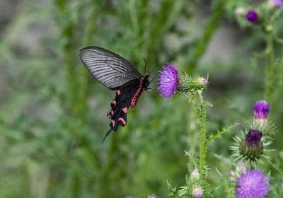 表示动作的二字词语(热门61句) 表示动作的二字词语(热门61句)