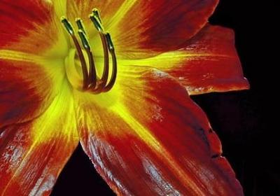 表示时间快的三字词语(优选50句)