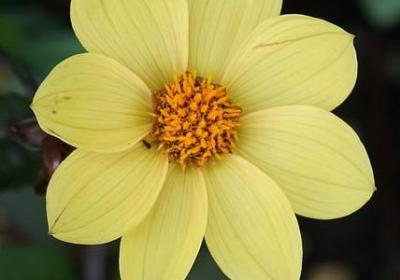 表示动作的词语有哪些(40句)