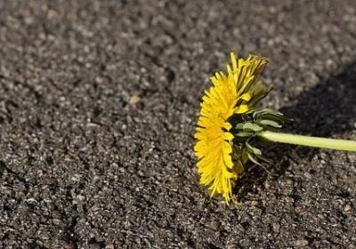 表示很久的词语(共60句)