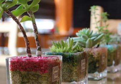 表扬节目好的词语(汇总7句)