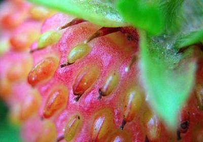 表示名称的词语有哪些(实用29句)