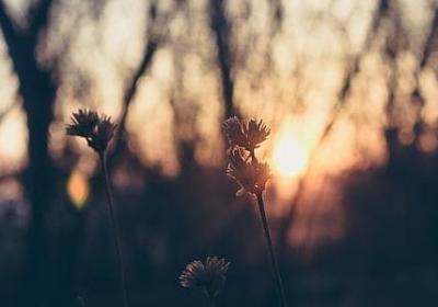 茫茫的什么填词语(热门40句)