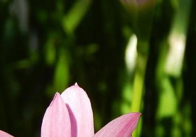 表情声音的的词语(汇总51句)