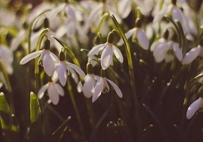 表示脚动作的词语(推荐51句)