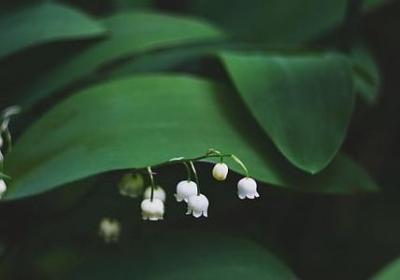 虹能组什么词语(精选10句)