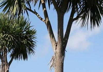 表程度的词语(优选40句)