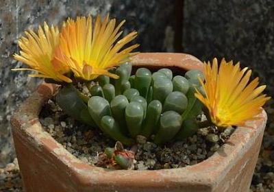 词语组成通顺的句子(精选80句)