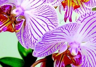 表示颜色的词语3个字(精选80句)