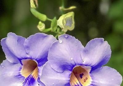 词语构词方式(共80句)