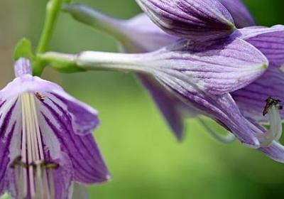 词语自什么自什么(精选60句)