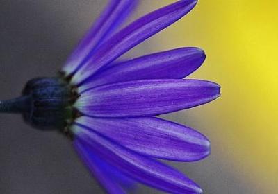 曾国藩 名言(合集40句)