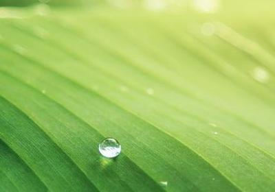 有关行动的名言(精选44句)