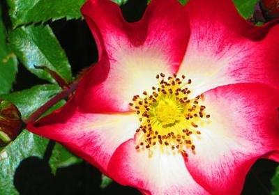 有关写字的名言(优选80句)