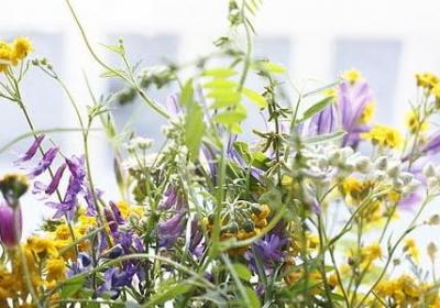 赞美超市的词语(汇总12句)