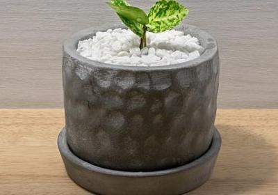 酸组词有哪些词语(通用51句)