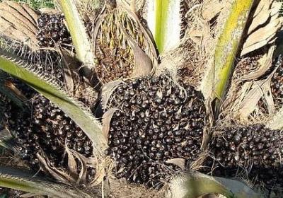 有关努力的名言(优选60句) 有关努力的名言(优选60句)