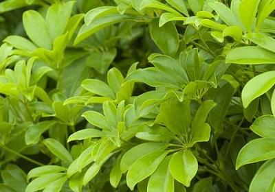 载组词有哪些词语(实用60句)