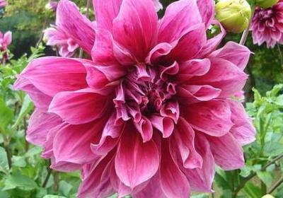 迂的四字词语(通用40句)