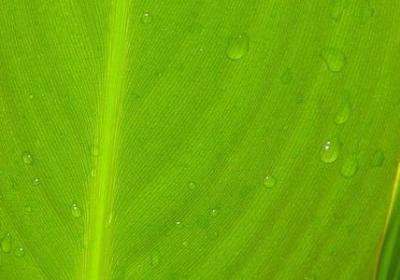 软绵绵词语意思(通用80句)