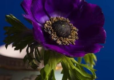 零七八碎类似的词语(合集10句)