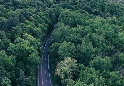 朋友名言警句(合集59句) 朋友名言警句(合集59句)