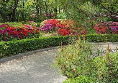 锅的四字词语(实用49句)