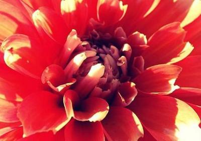 热爱生命的名言警句(热门80句)