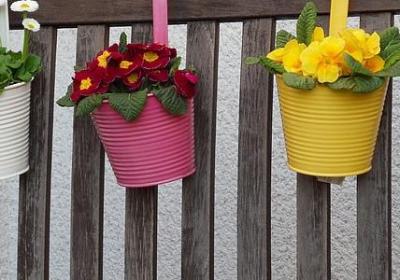 迷可以组什么词语(优选81句)